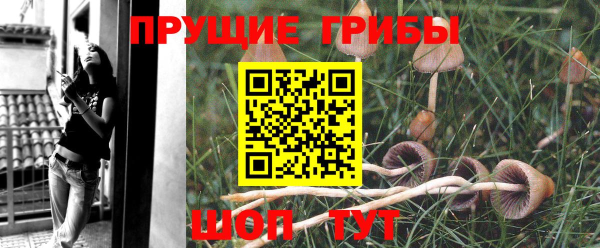 Псилоцибиновые грибы MAGIC MUSHROOMS  даркнет сайт  Новокузнецк  Вход с VPN 